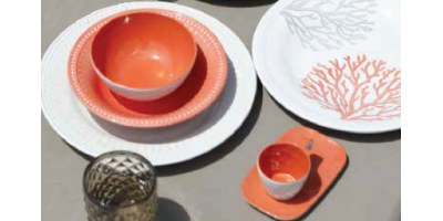 Harmony Coral