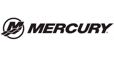 Mercury maintenence kit