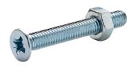 Screws with nut