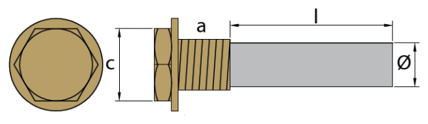Tecnoseal Ánodo Motor Nanni D.10 Con tapón