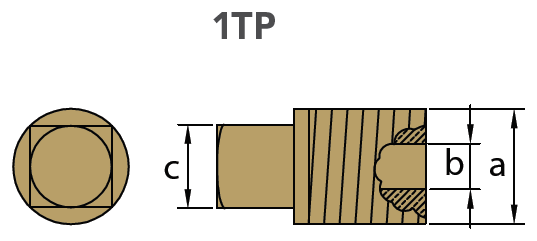 Tecnoseal Tapón Gm Para 02003