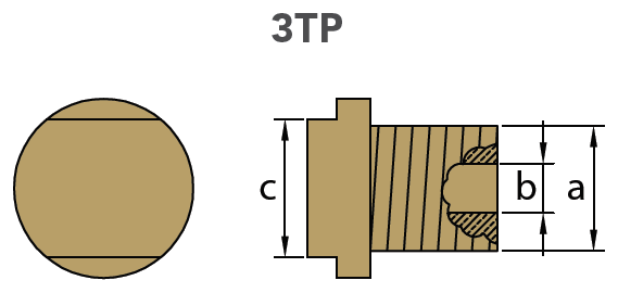 Tecnoseal Tapón Latón Ánodo Aifo D.20 1998