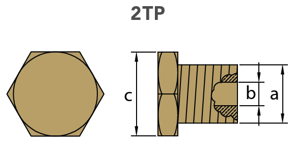 Tecnoseal Tapón Latón Ánodo Motor Cummins D.16 7/16