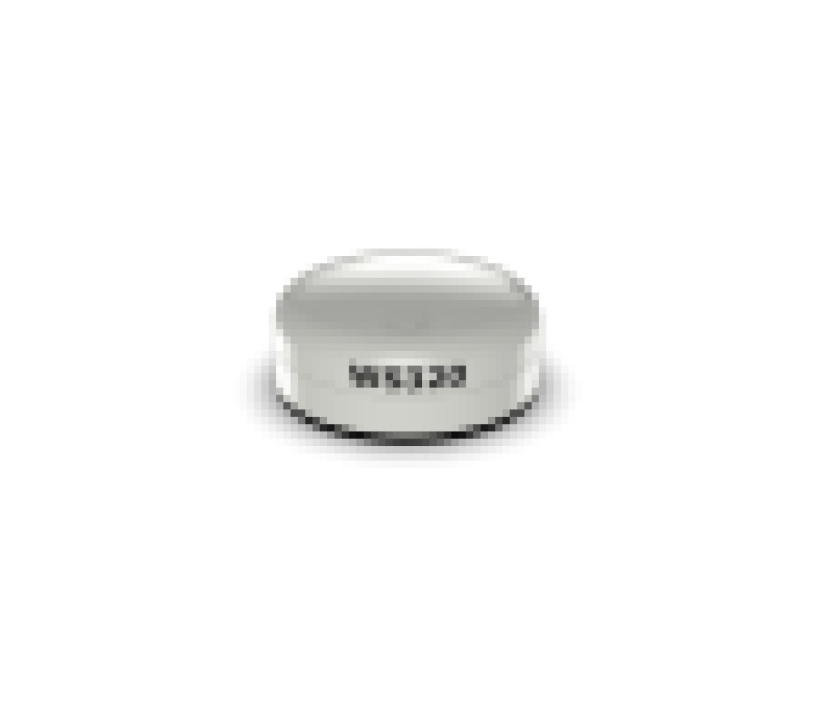 Interfaz Inalámbrica B&G WS320 para Sensores de Viento