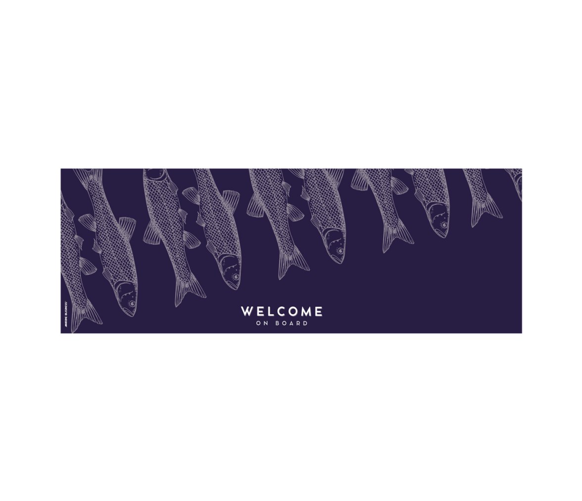 Alfombra Antimicrobial Welcome 140×50 cm – Fish Blue - Marine Business