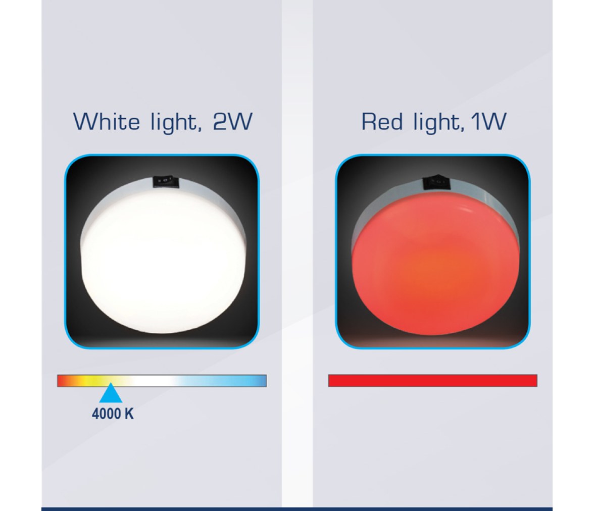 AquaLED luz, rojo y blanca, con interruptor 3 posiciones, 12V/24V DC Multivolt