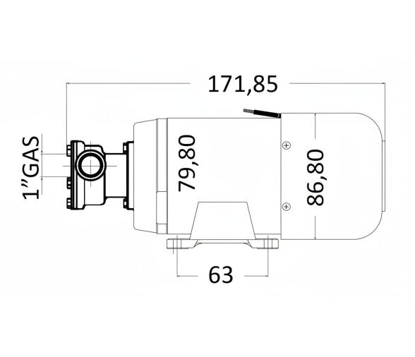 Attwood Bomba de Achique Autocebante Profesional