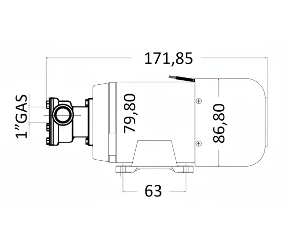 Attwood Bomba de Achique Autocebante Profesional