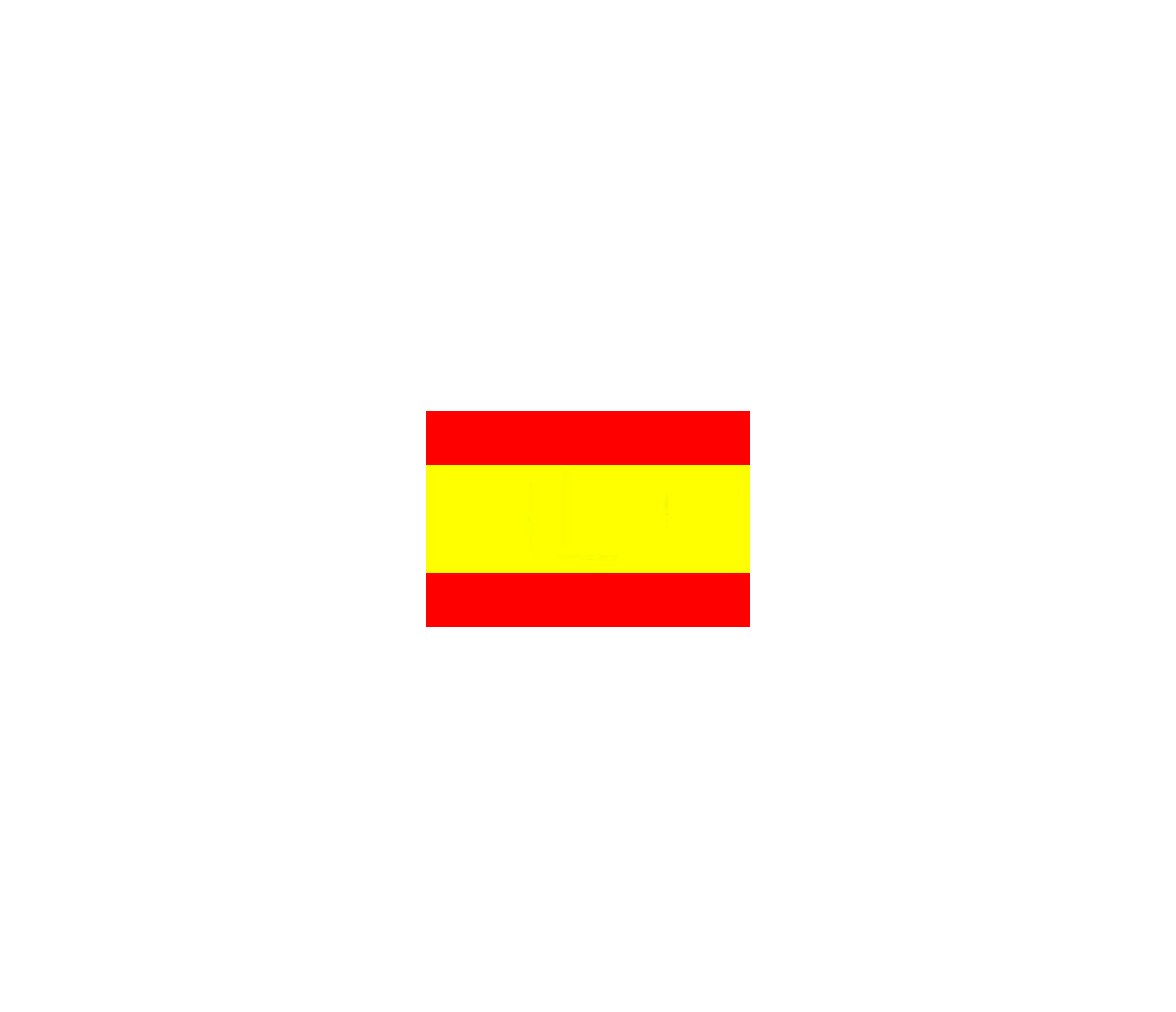 Bandera España 100 x 70 cm