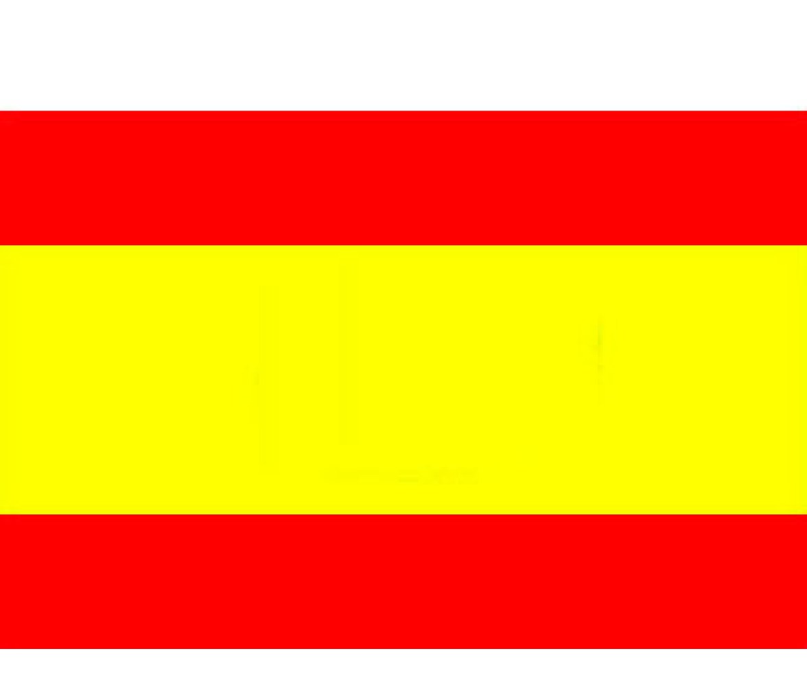 Bandera España 45 x 35 cm