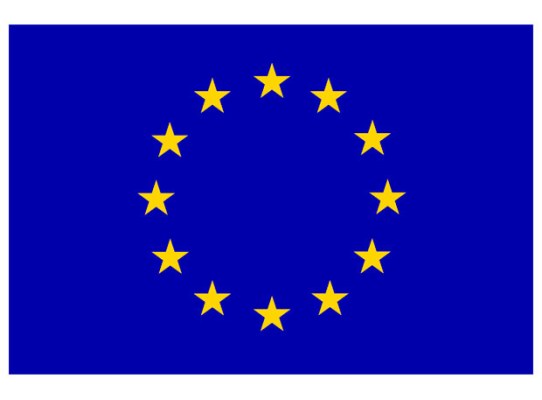 Europe Flag