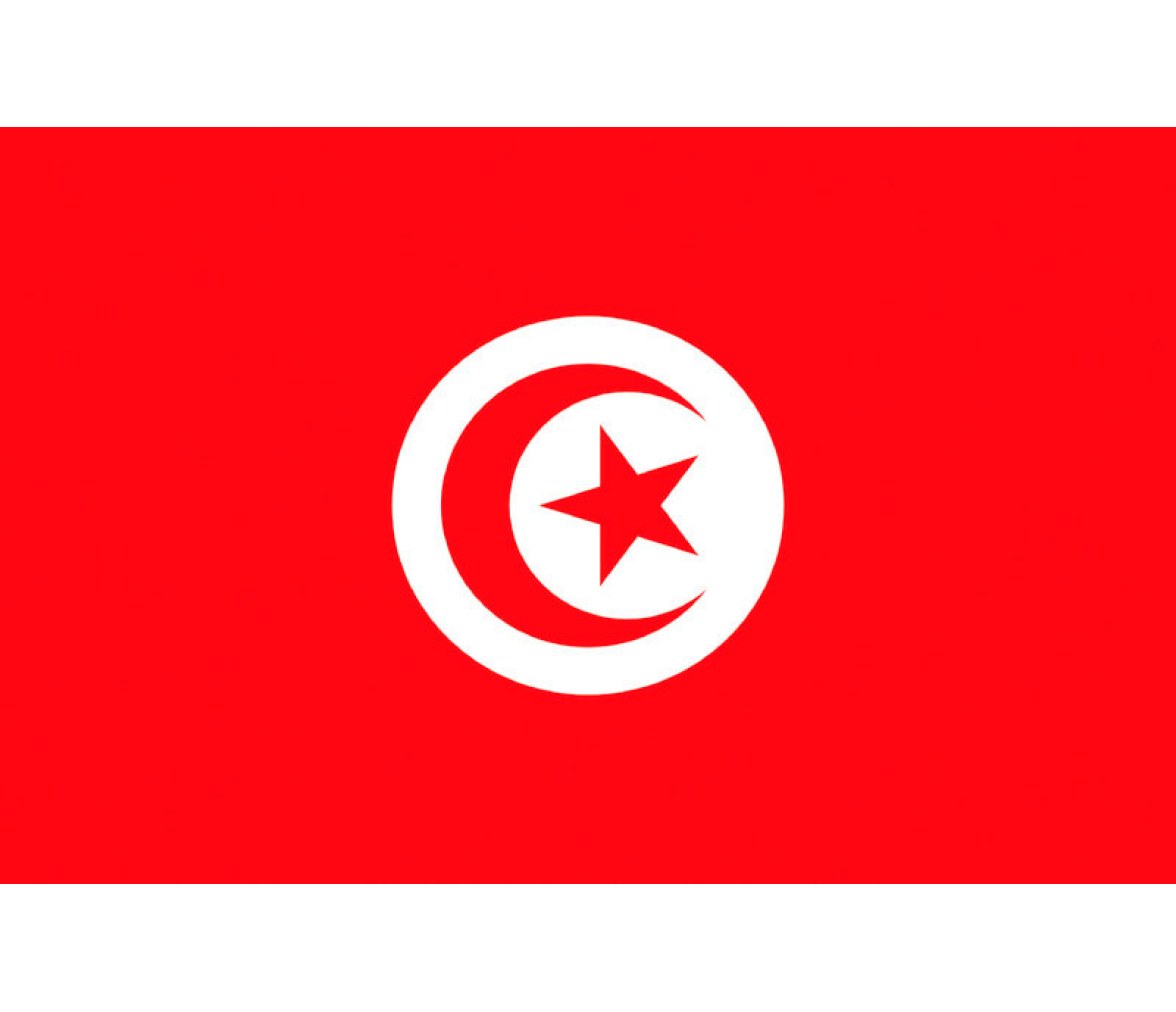 Bandera Túnez