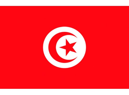 Bandera Túnez