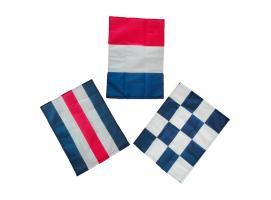 BANDERAS REGLAMENTARIAS 45x35