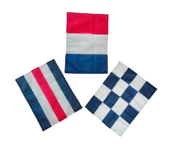 Banderas Reglamentarias 45x35