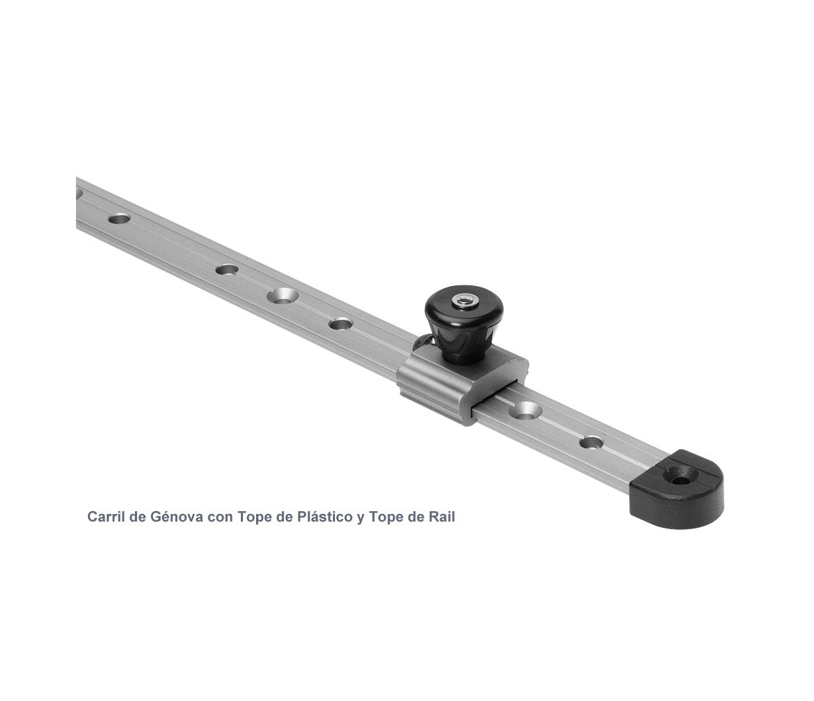 Barton Tope de Rail para Carril en T 25 mm