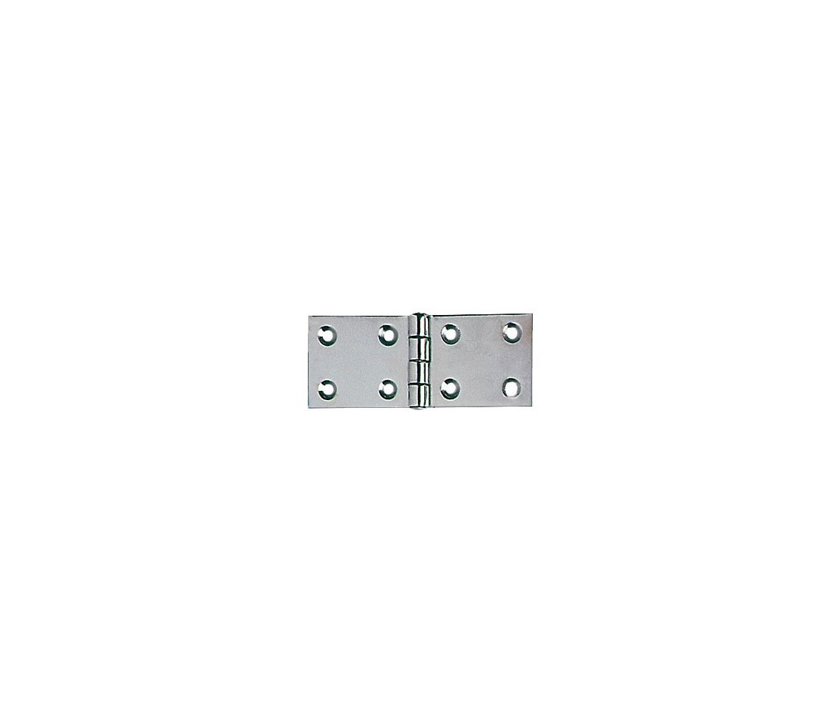 45 x 110 mm Thickness 2.5 mm Stainless Steel Hinge
