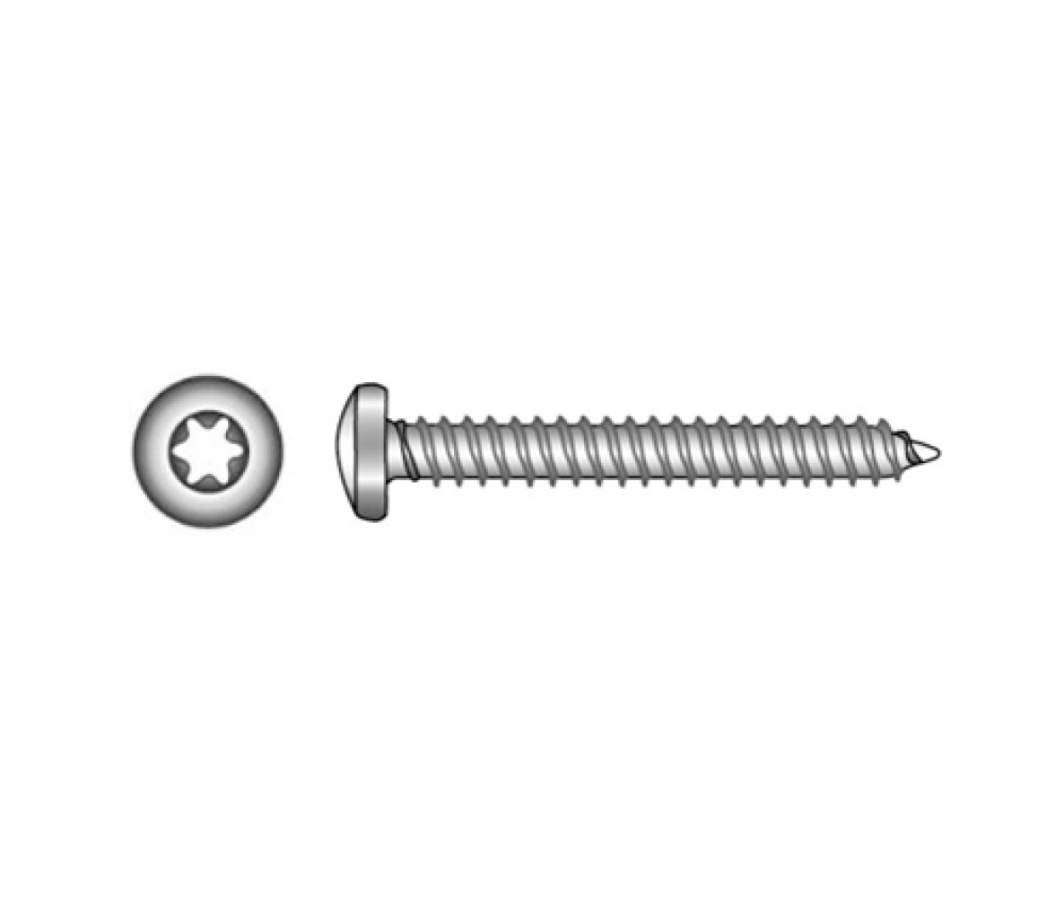 Blister Tornillo ISO 14585