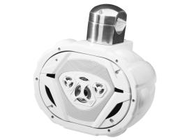 Boss Altavoz MRWT69W