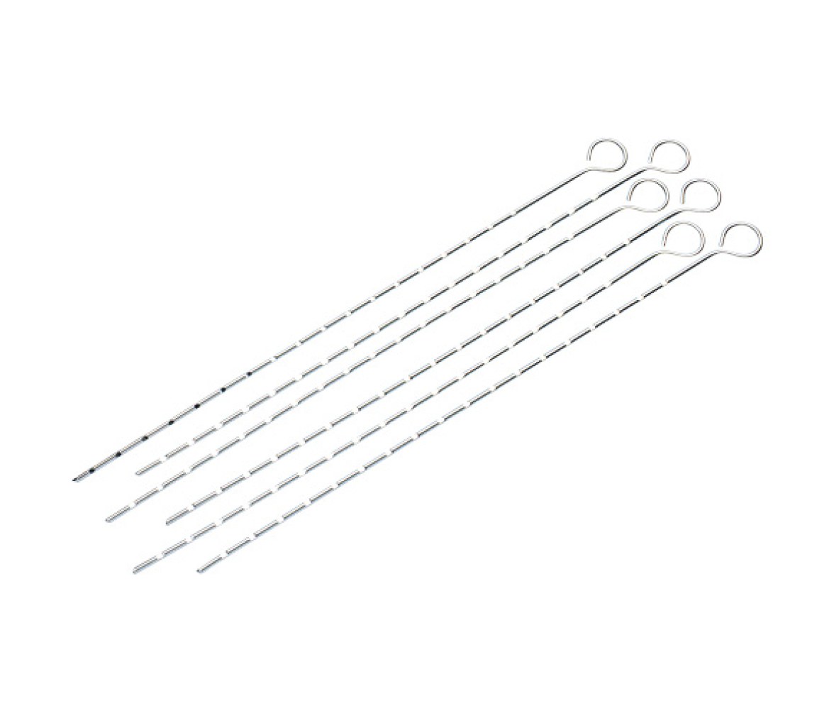 Campingaz Pinchos Brochetas Sencillos Cromados