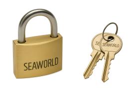 Candado de Bronce / SS 30 mm