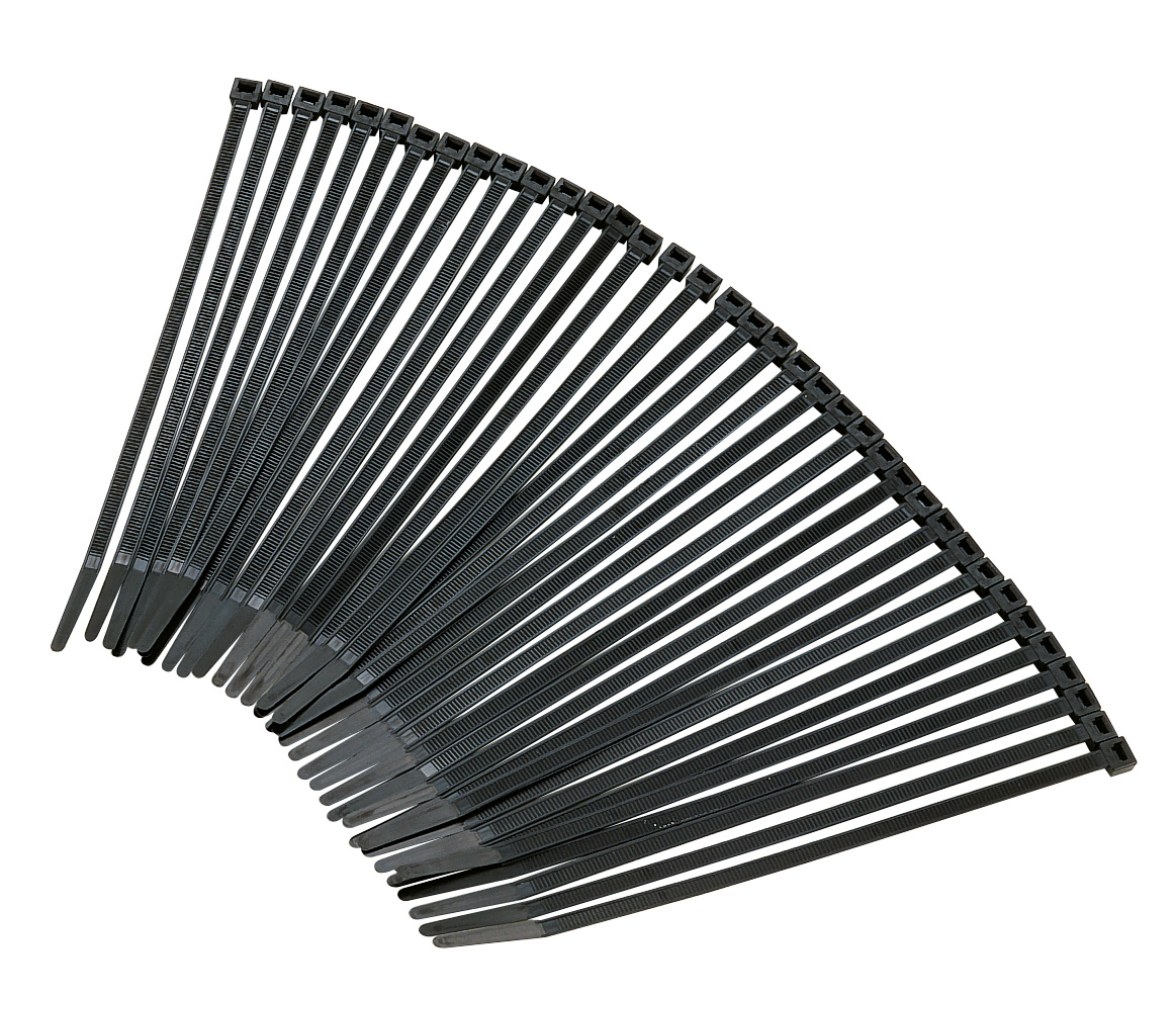 CanSB Pack 100 Bridas PLastico