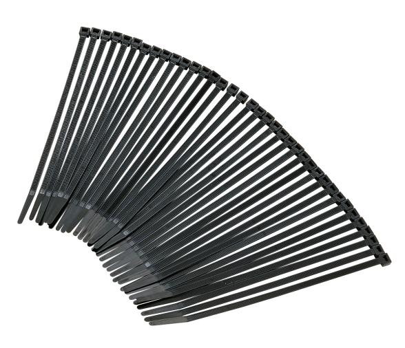 CanSB Pack 100 Bridas PLastico