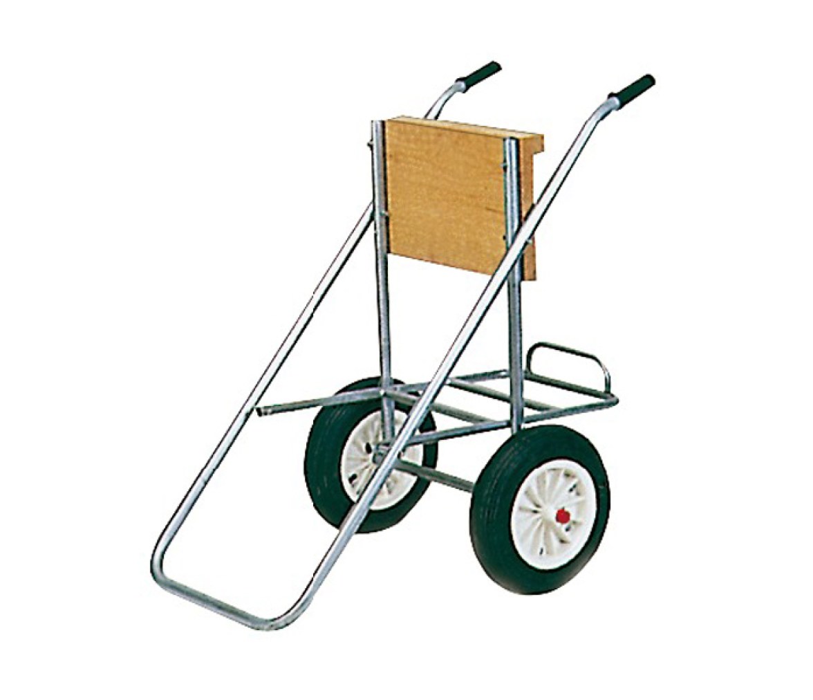 Carro transporte motor ruedas goma
