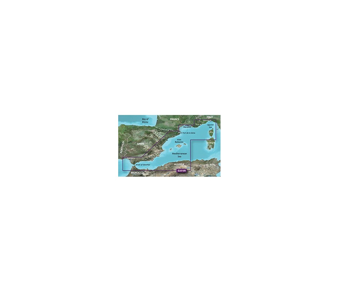 Garmin Cartografía Bluechart G3 Regular
