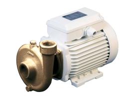 CEM Bomba Centrífuga de Bronce 40 l/min