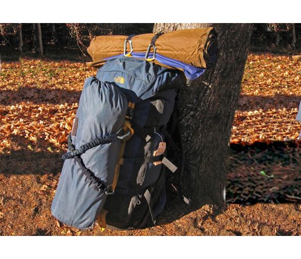 Davis MiniShockle Negro 46cm