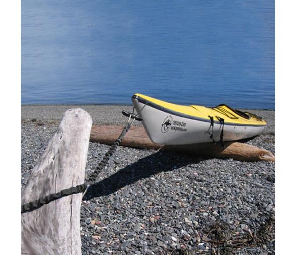 Davis MiniShockle Negro 61cm