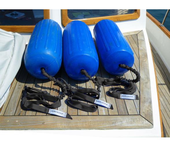 Davis Sujeta Defensas Elastico Central Fender Friend