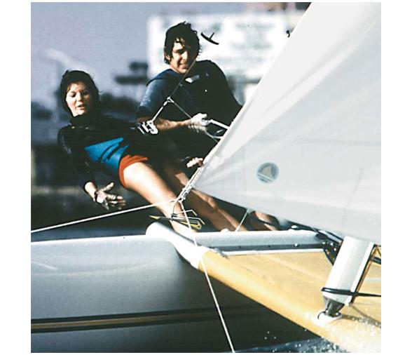 Davis Veleta para Catamaran Telo-Cat