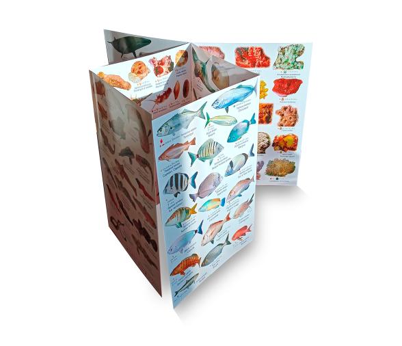 Desplegable de Especies Mediterraneas