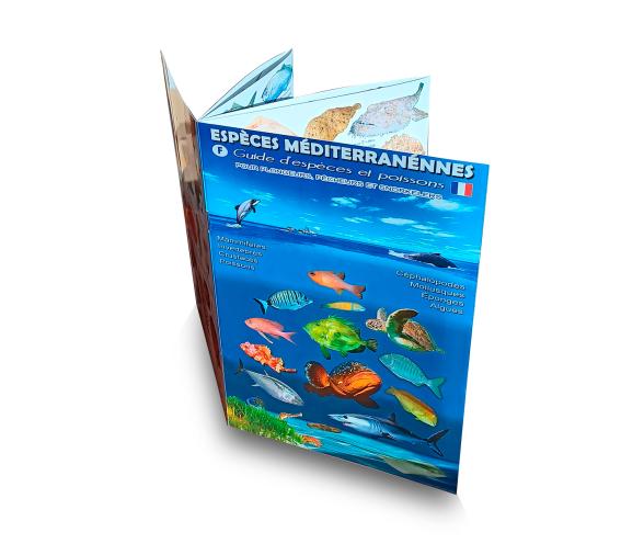 Desplegable de Especies Mediterraneas