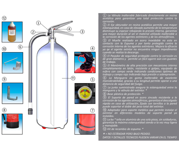 Extintor de Espuma 9 Kg Manual