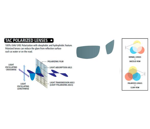 Cressi Gafas de Sol Rio Polarizada