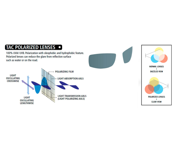 Cressi Gafas de Sol Rio Polarizada
