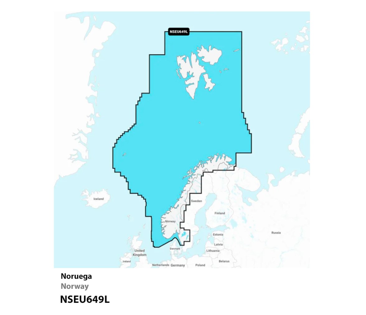 Garmin Cartografia Navionics+ Large Europa