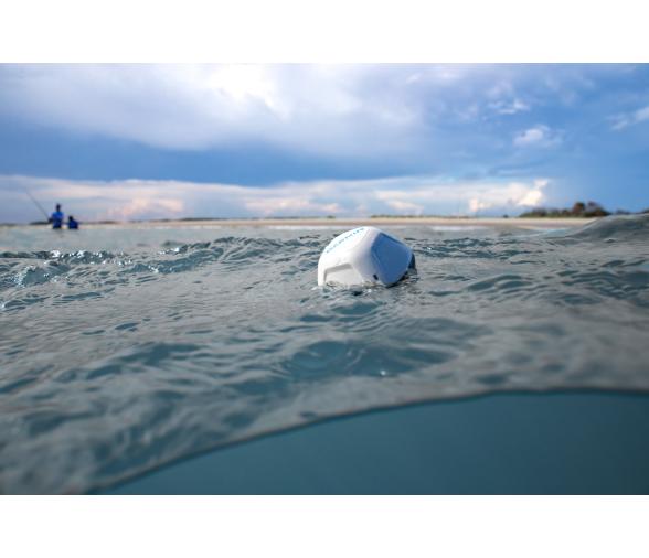 Garmin Sonda Portatil STRIKER Cast