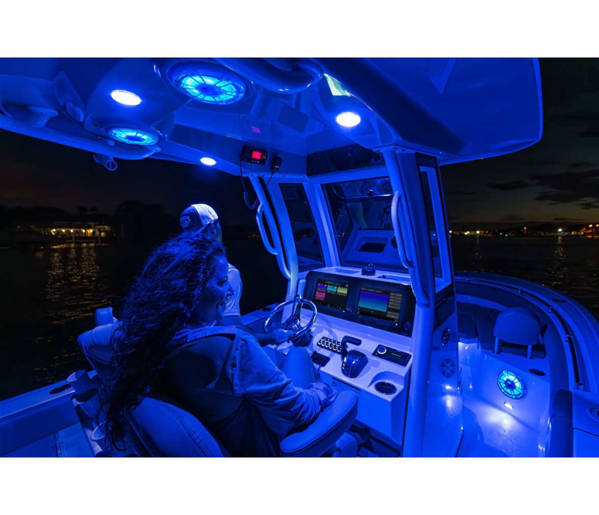 Garmin Spectra LC102 Módulo de Control Led