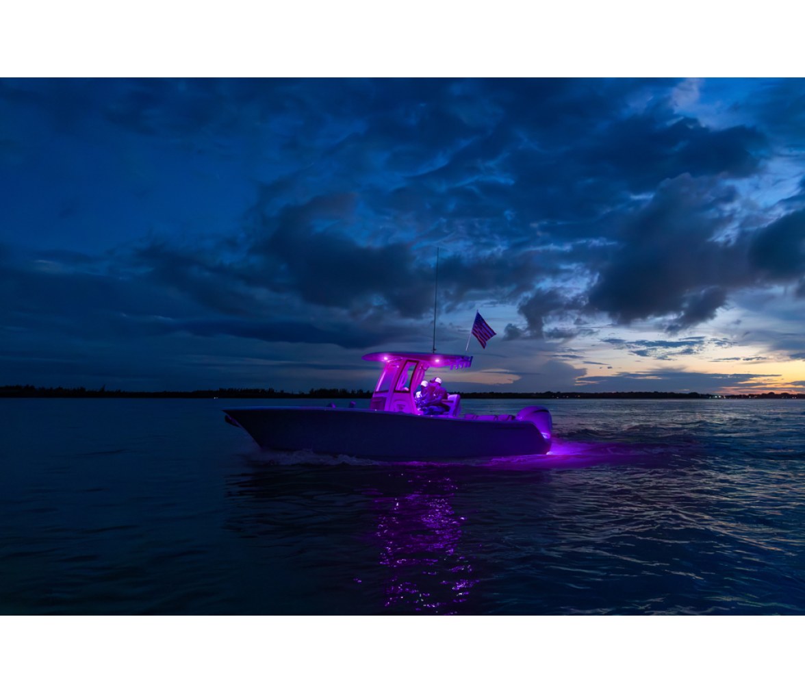Garmin Spectra LC102 Módulo de Control Led