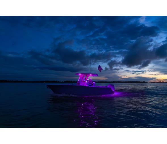 Garmin Spectra LC302 Módulo de Control Led