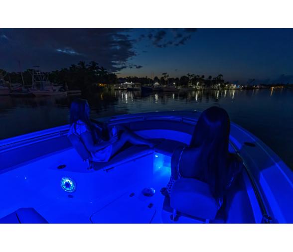 Garmin Spectra LC102 Módulo de Control Led