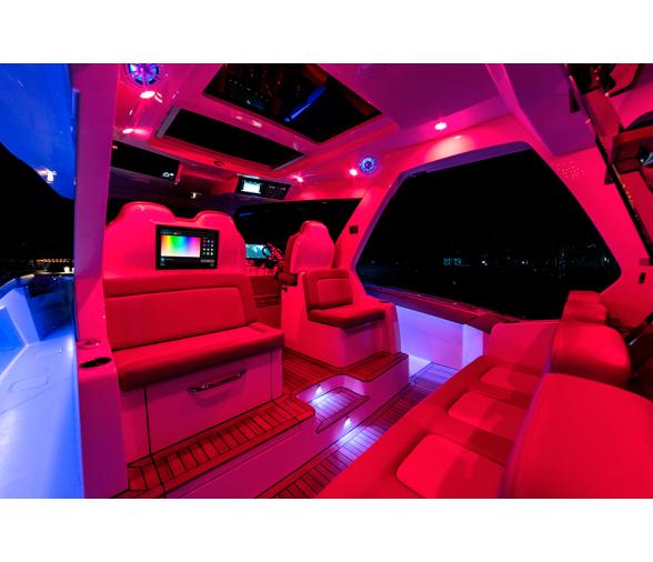 Garmin Spectra LC102 Módulo de Control Led