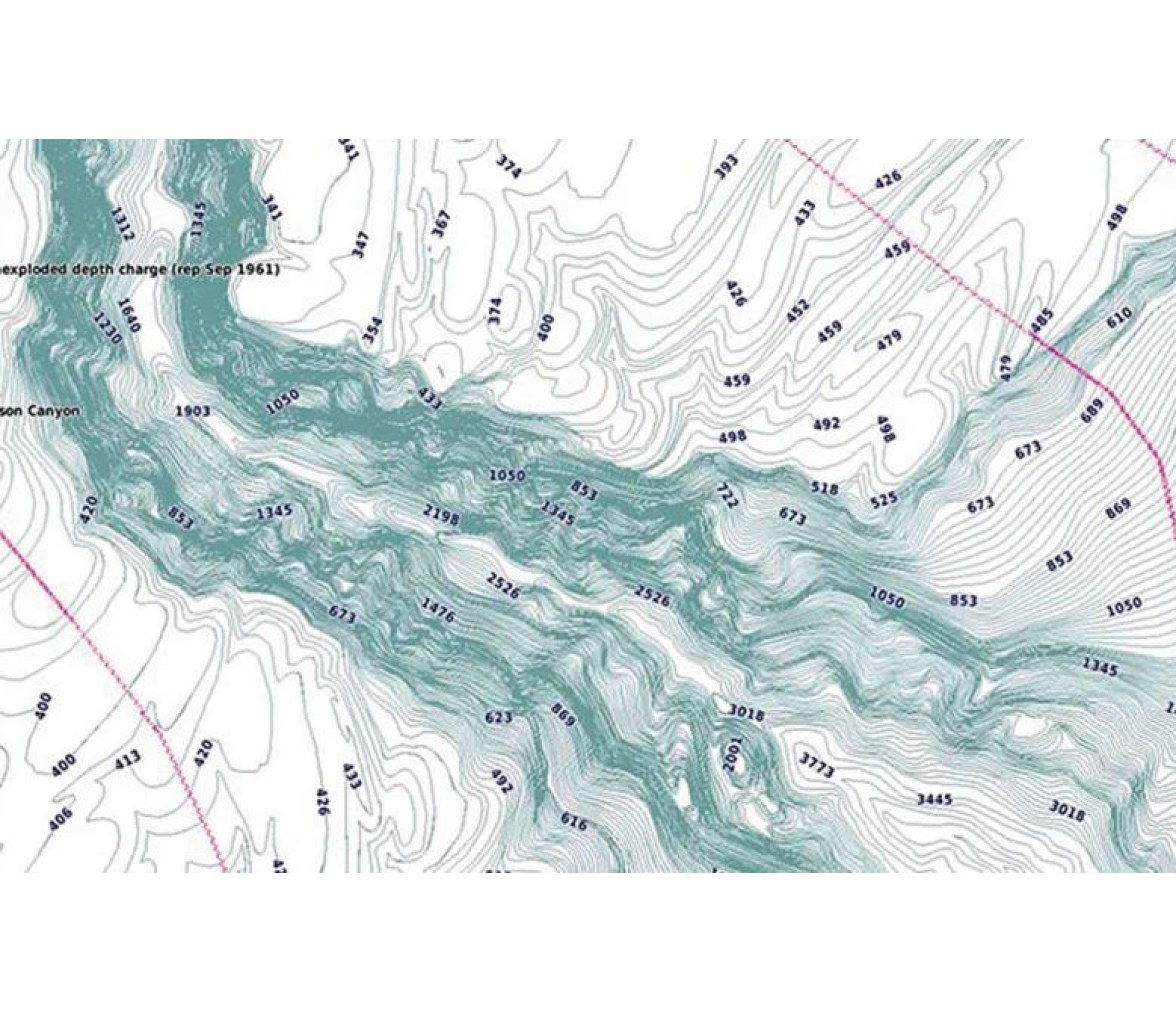 Garmin Cartografia Bluechart G3 Vision Large Europa