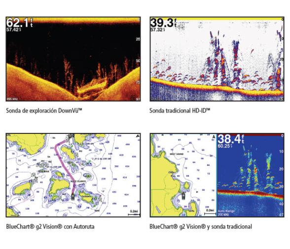 Garmin GPS Plotter Sonda echoMAP 52 dv con Transductor