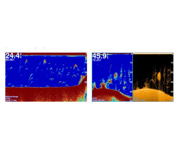 Garmin Sonda CHIRP Striker 7dv con GPS