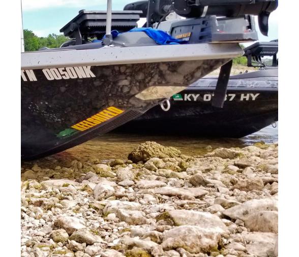 Gator Guards Protector de Proa